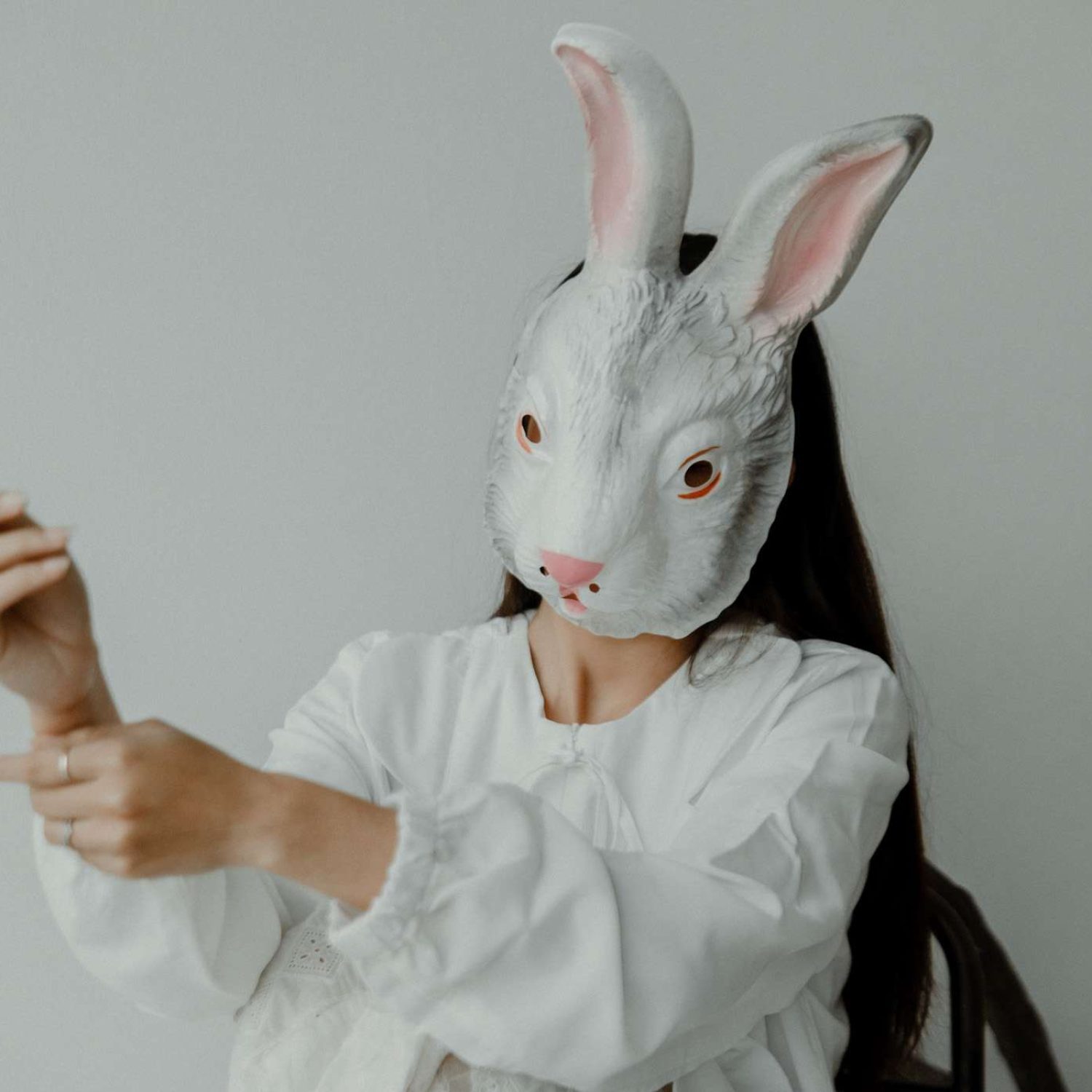 The Wedding Of Fox & Rabbit Unlimited - Invitos.id